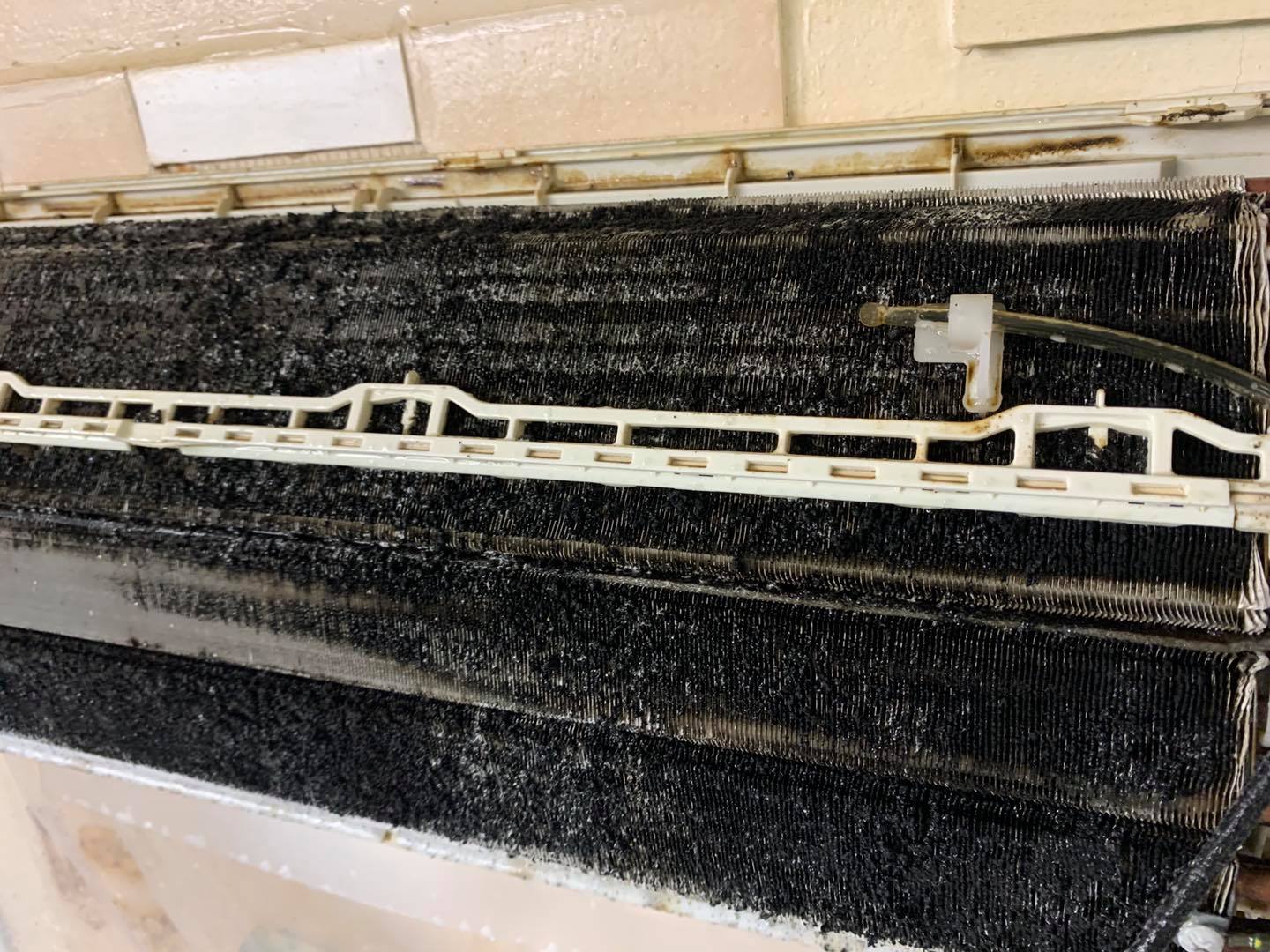 Mouldy air con before cleaning